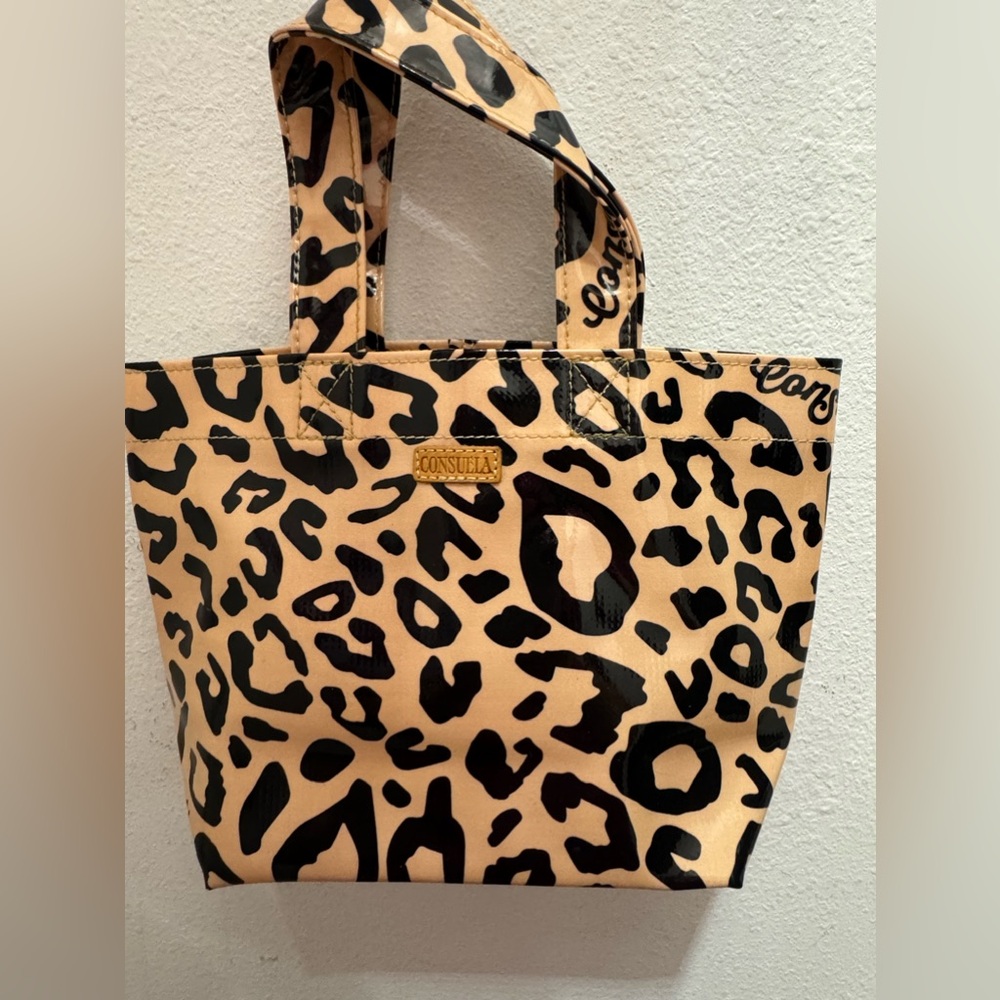 Consuela Mini Tote Bag